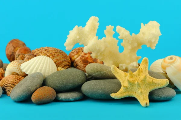 Starfish and set of objects — Stock Photo, Image