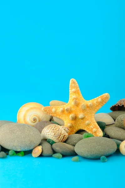 Estrella de mar y conjunto de objetos — Foto de Stock
