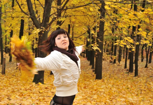 A lány az őszi erdő — Stock Fotó