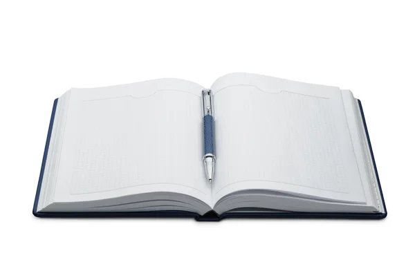 Długopis powyżej notebooka — Zdjęcie stockowe