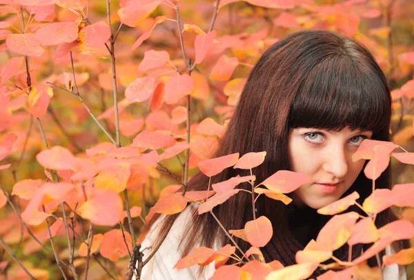 Sonbahar ormanda kız — Stok fotoğraf