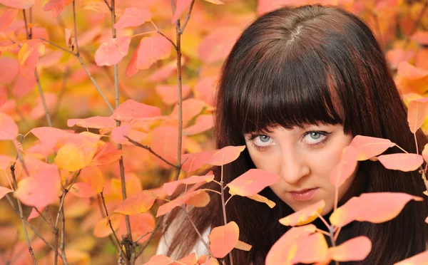 秋天的森林中的女孩 — 图库照片