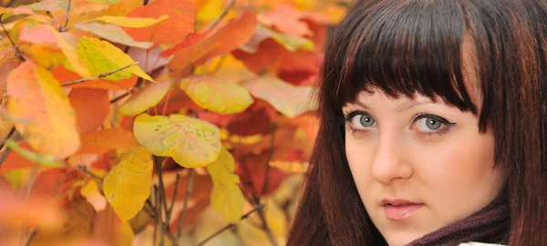 Het meisje in een herfst forest — Stockfoto