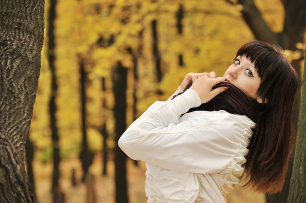 La chica en un bosque de otoño — Foto de Stock