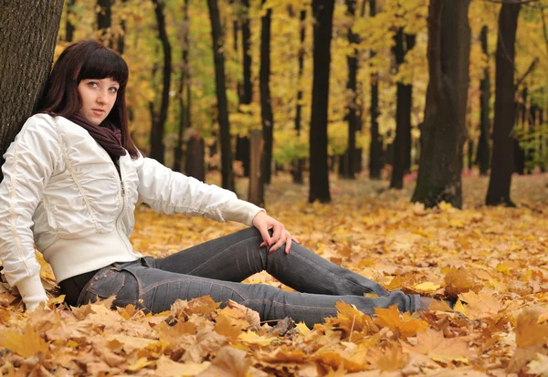 La chica en un bosque de otoño —  Fotos de Stock