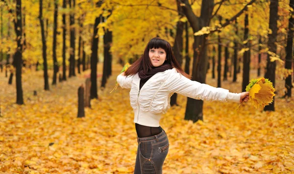 A lány az őszi erdő — Stock Fotó