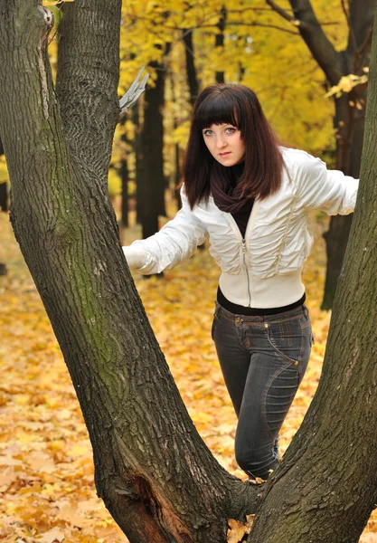 Das Mädchen im herbstlichen Wald — Stockfoto