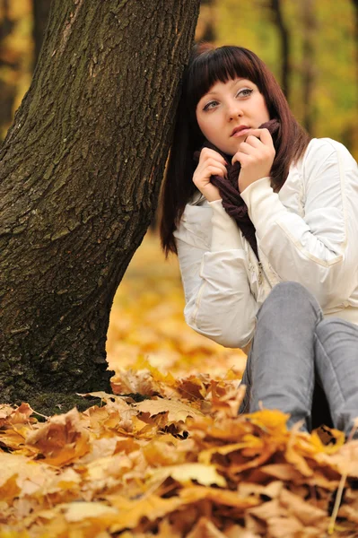Flickan i en höst skog — Stockfoto