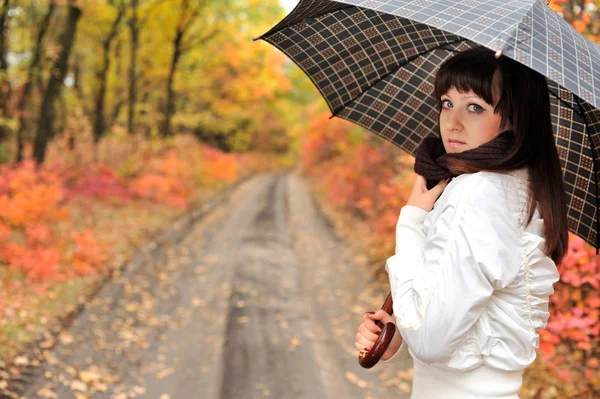 Het meisje in een herfst hout — Stockfoto