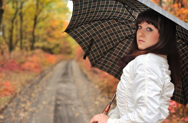 Dziewczyna w jesień drewna z parasolem. — Zdjęcie stockowe