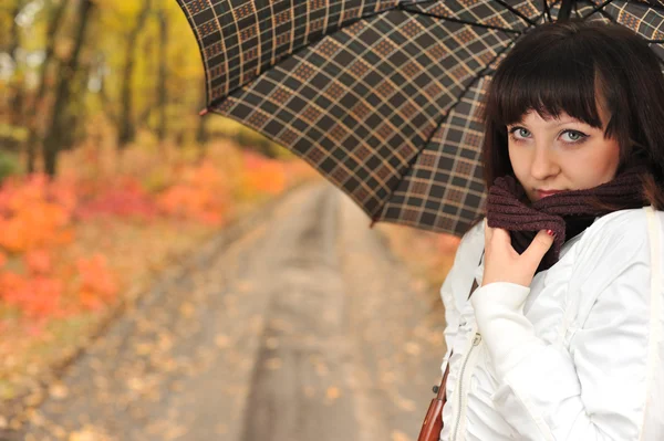 The girl in an autumn wood — Stock Photo, Image