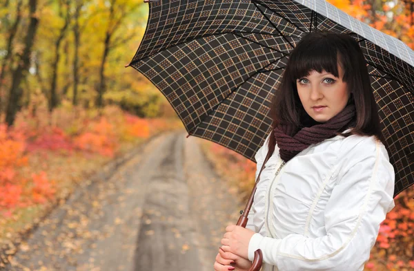 The girl in an autumn wood — Stock Photo, Image