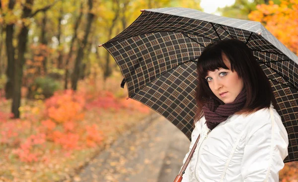 Menina em uma madeira de outono com um guarda-chuva . — Fotografia de Stock