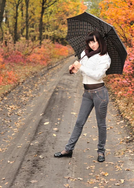 Menina em uma madeira de outono com um guarda-chuva . — Fotografia de Stock