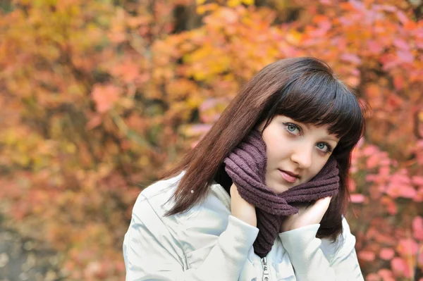 La ragazza in una foresta di autunno — Foto Stock