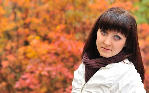 La chica en un bosque de otoño —  Fotos de Stock