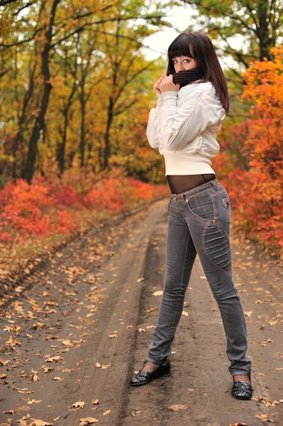 La chica en un bosque de otoño — Foto de Stock