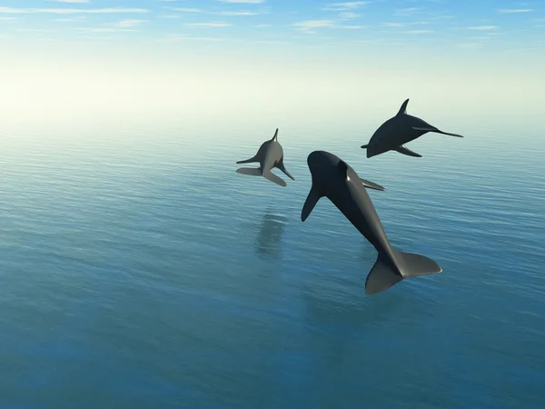 Drei Delfine über dem Meer — Stockfoto