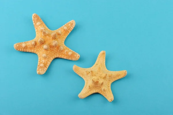 Dwa rozgwiazdy na niebieskim tle — Zdjęcie stockowe