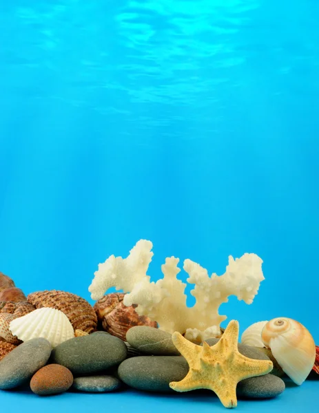 De onderwaterwereld — Stockfoto