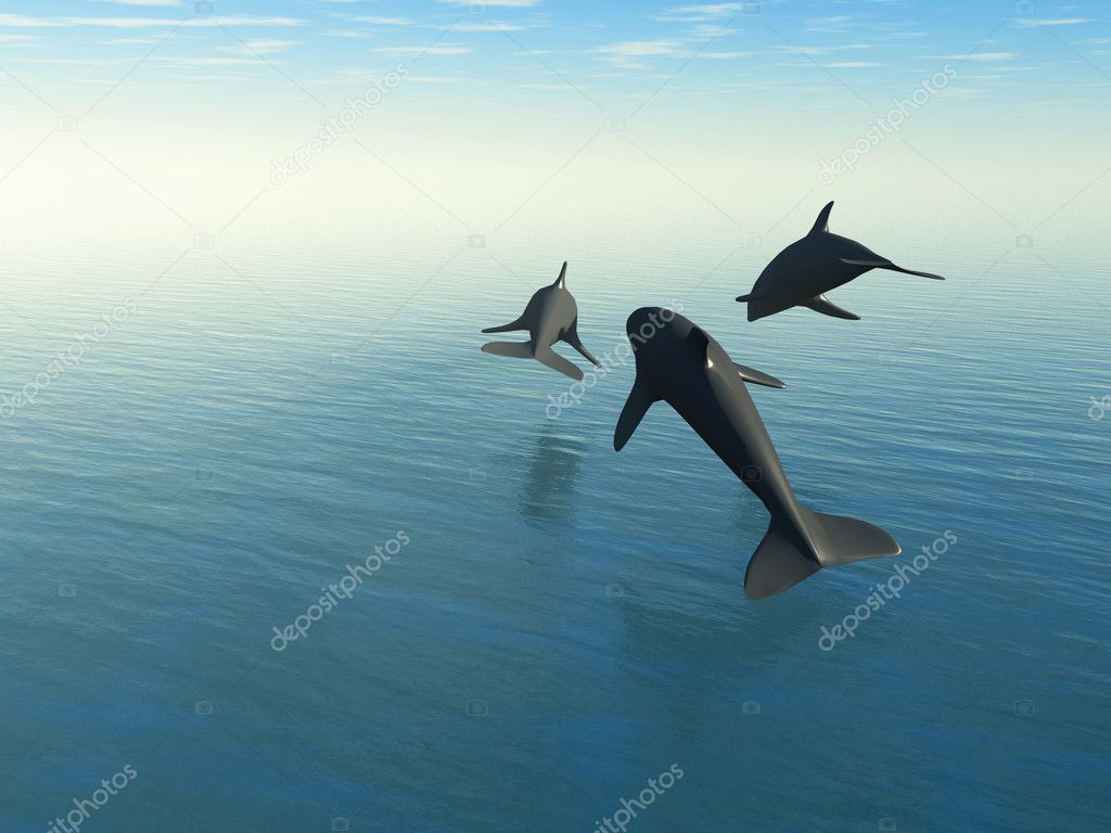 Three dolphins above the sea