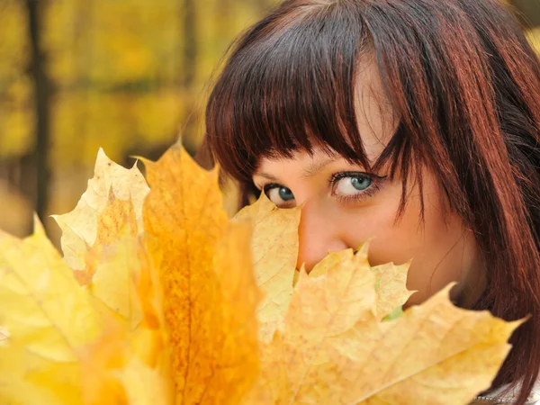 秋天的叶子中的女孩 — 图库照片