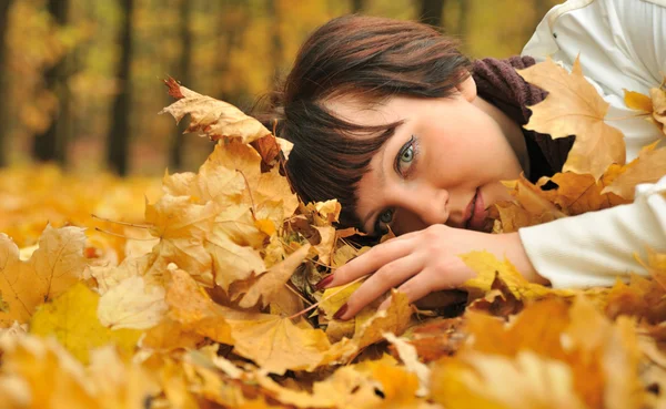 Het meisje in de herfst bladeren — Stockfoto
