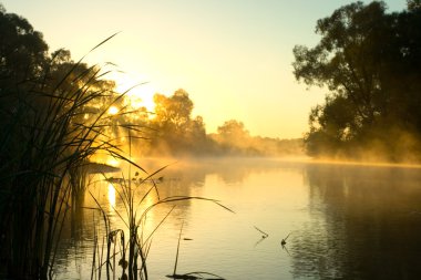 Matutinal mist on river. clipart