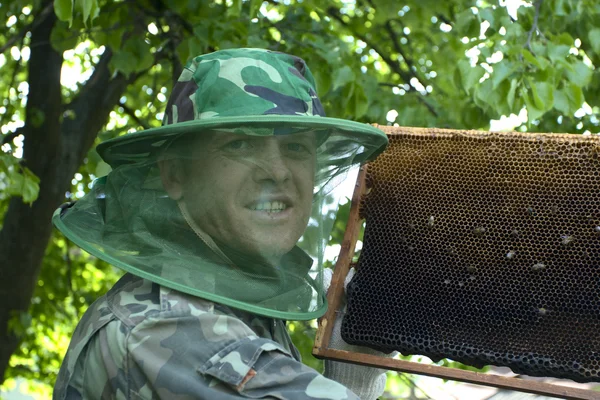 stock image Beekeeper