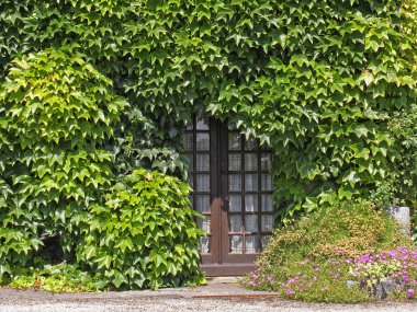 Brown door in Mont-Dol, Brittany, France clipart