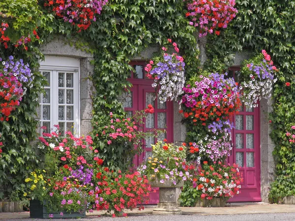 Hus med blommor, Bretagne, Frankrike — Stockfoto