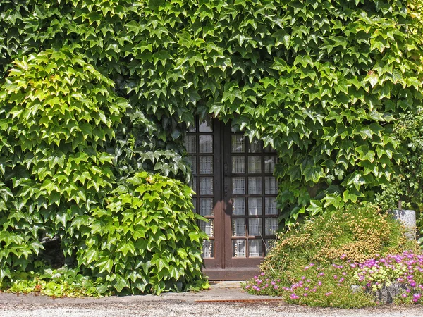 Brown door in Mont-Dol, Brittany, France — Stock Photo, Image