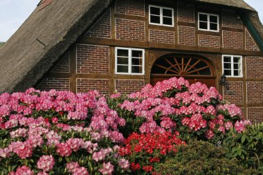 Timbered house with azaleas in Germany clipart