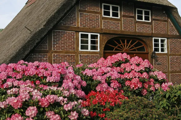 Casa in legno con azalee in Germania — Foto Stock