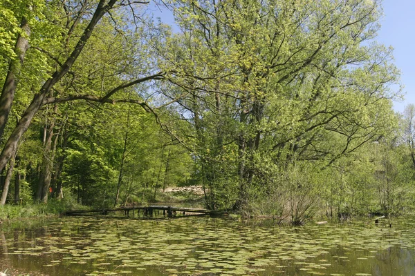 池塘与德国木桥 — 图库照片