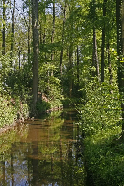 Kis patak tavasszal, Németország — Stock Fotó