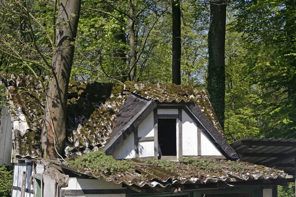 Pequena casa de madeira com uma árvore — Fotografia de Stock