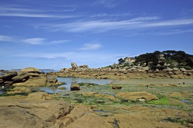 ploumanach, brittany yakınındaki taş sahil