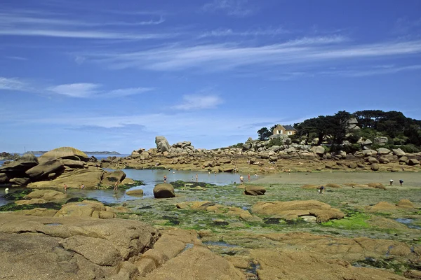 Kivinen rannikko Ploumanachin lähellä, Bretagne — kuvapankkivalokuva