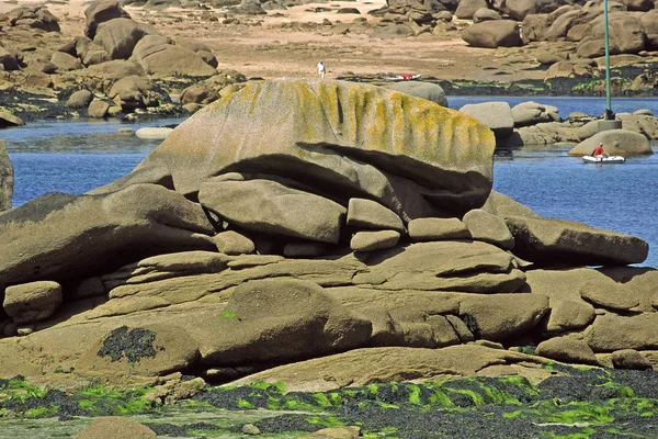 Kayalık sahil şeridi, brittany, Fransa — Stok fotoğraf