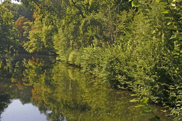 Vijver met water reflectie in Westfalen — Stockfoto