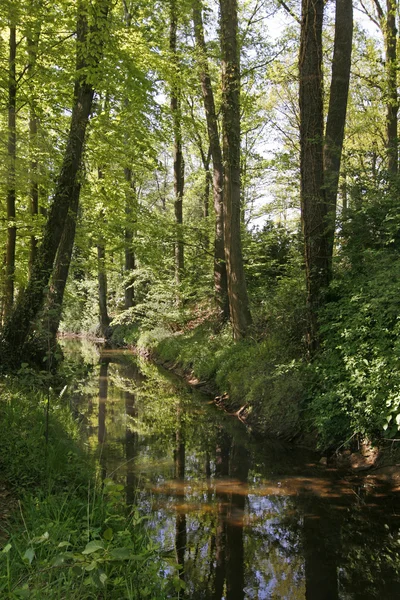 Małe rzeki duete w Niemczech — Zdjęcie stockowe