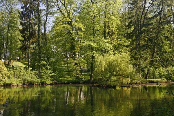 Pond in spring with water reflection — Stock Photo, Image