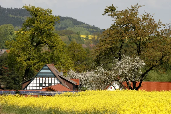 Casa de madeira, Alemanha, Europa — Fotografia de Stock