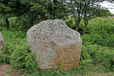 erdeven, brittany yakınındaki megalit mezarları