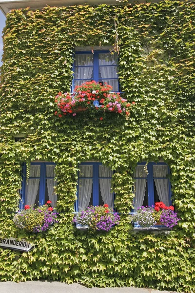 Hus med blå windows, brittany — Stockfoto