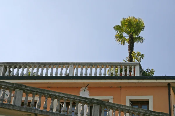 Salò, Dettaglio casa con palma, Italia — Foto Stock