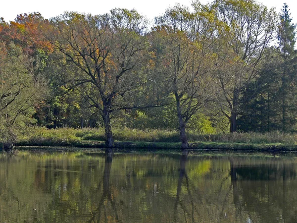 在秋季，德国的池塘 muehlenteich — 图库照片