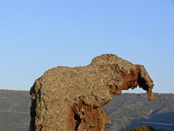 Az elefánt, rock, sradinia, Olaszország — Stock Fotó