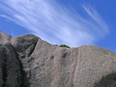 kayaların yanında ploumanach, brittany, Fransa